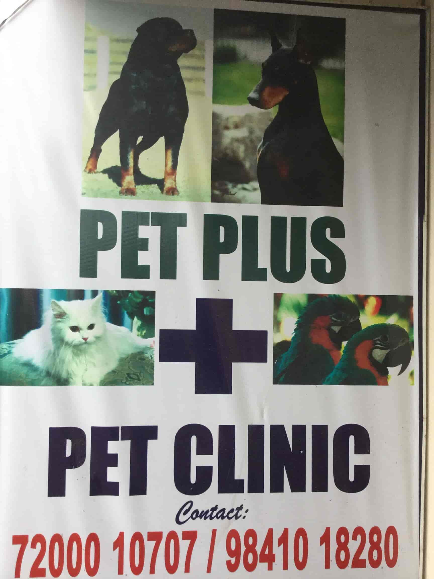 pet plus animal hospital