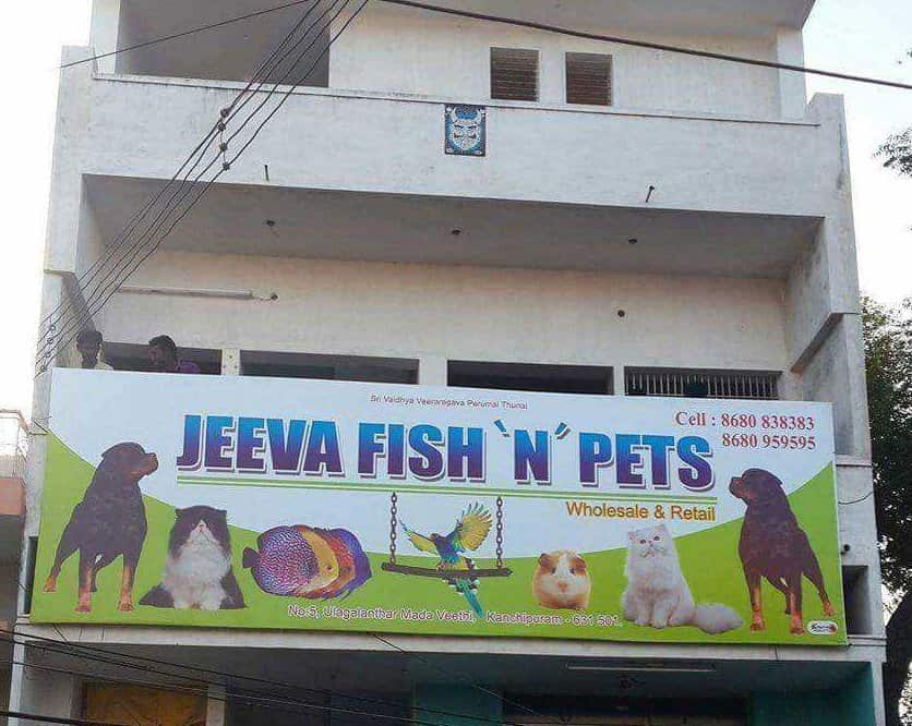 Fish N Pets