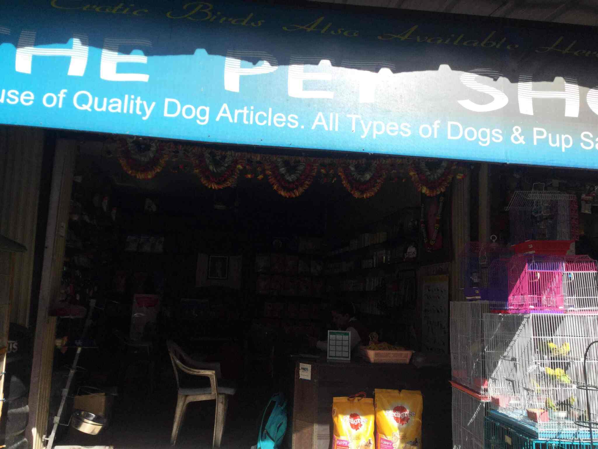 The Pet Shop Sunil Rana Yol Cantt Pet Shops In Kangra Justdial