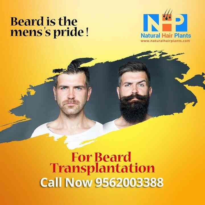 Natural Hair Plants Hair Transplantation In Kannur Skin Care