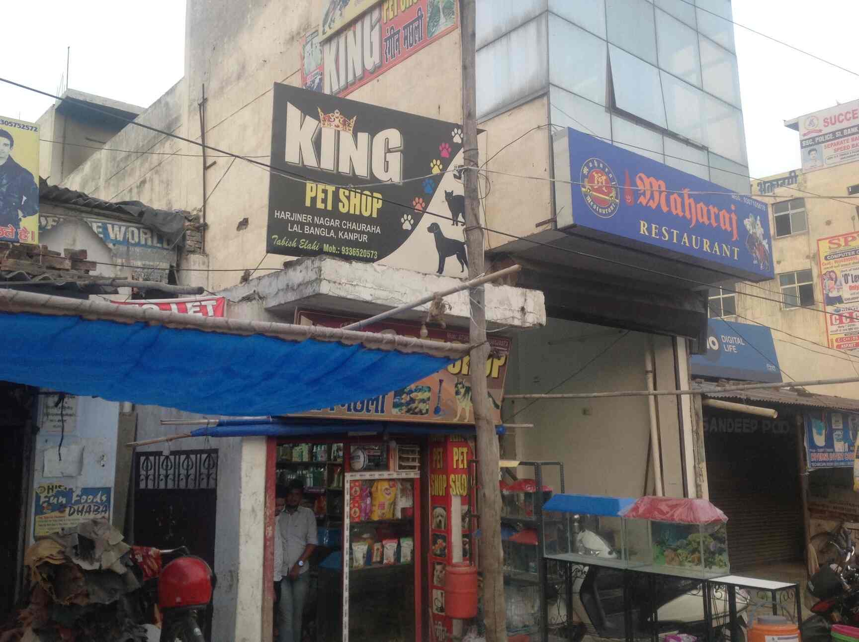 king pet shop