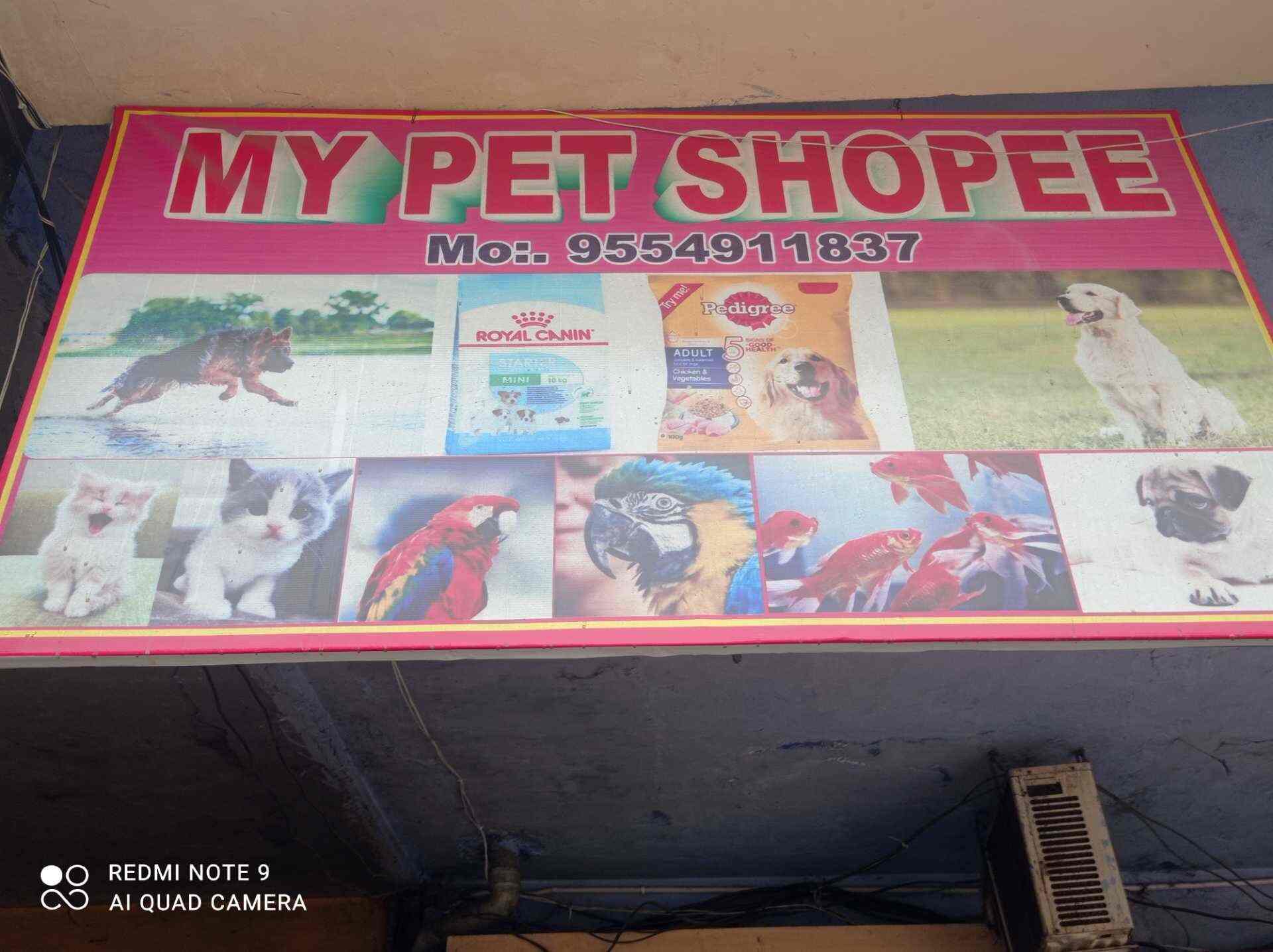 the pet shoppe