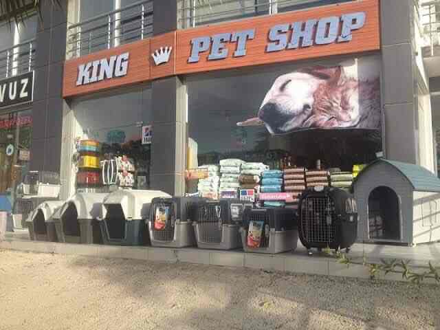 king pet shop