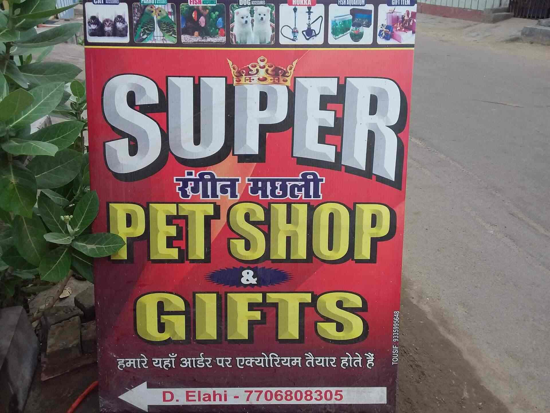 super pet store near me