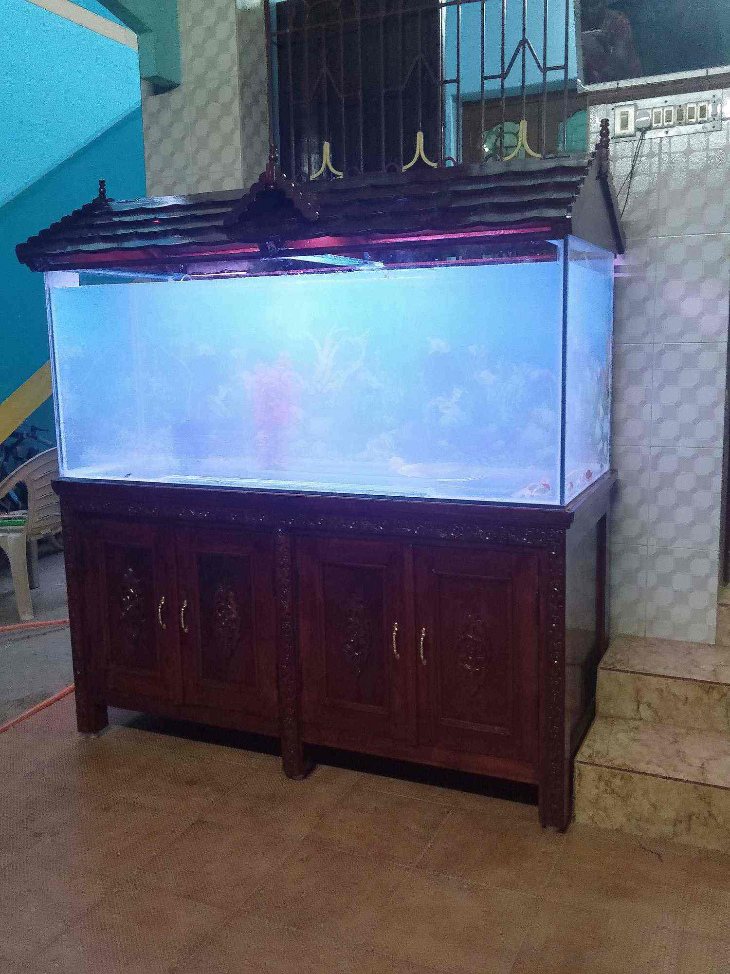 Fish Tank Top Cover Wooden vlr.eng.br