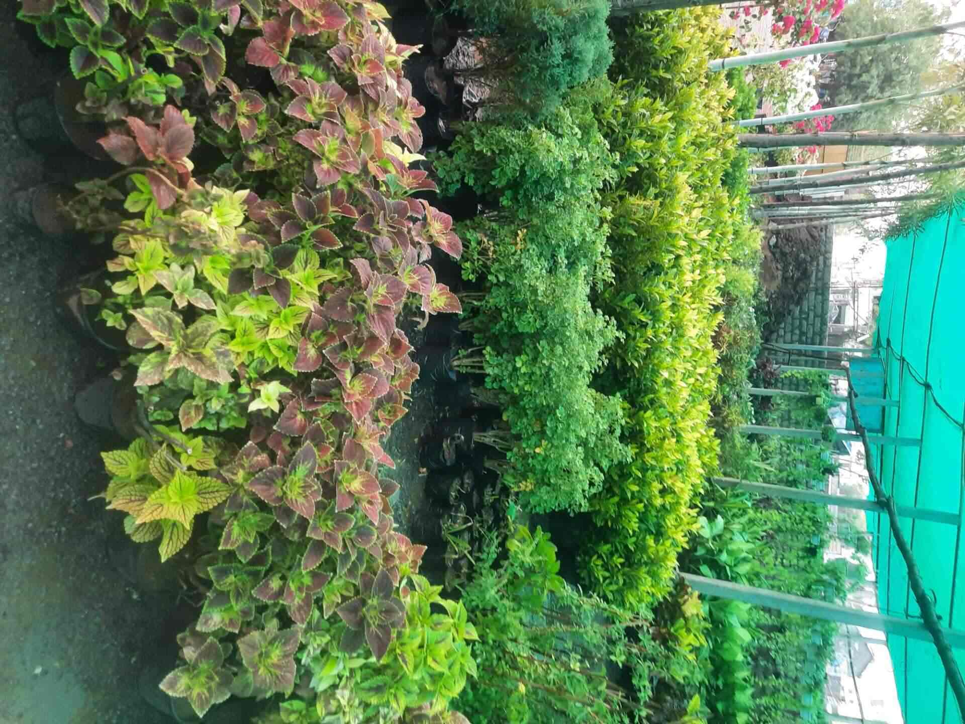 Update 145+ sandal city of india super hot awesomeenglish.edu.vn