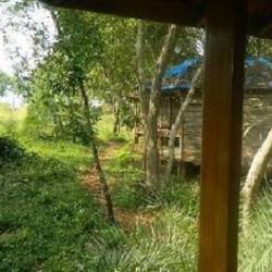 Paradise Holiday Cottages Gokarna Cottages On Hire In Karwar