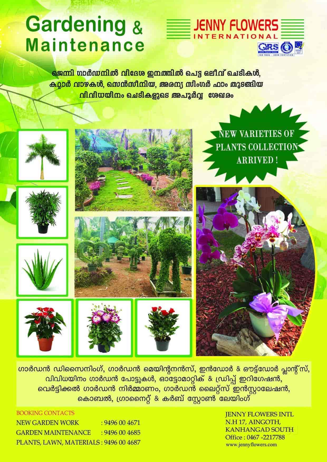 Jenny Flowers International Kanhangad Kerala Best Flower Site
