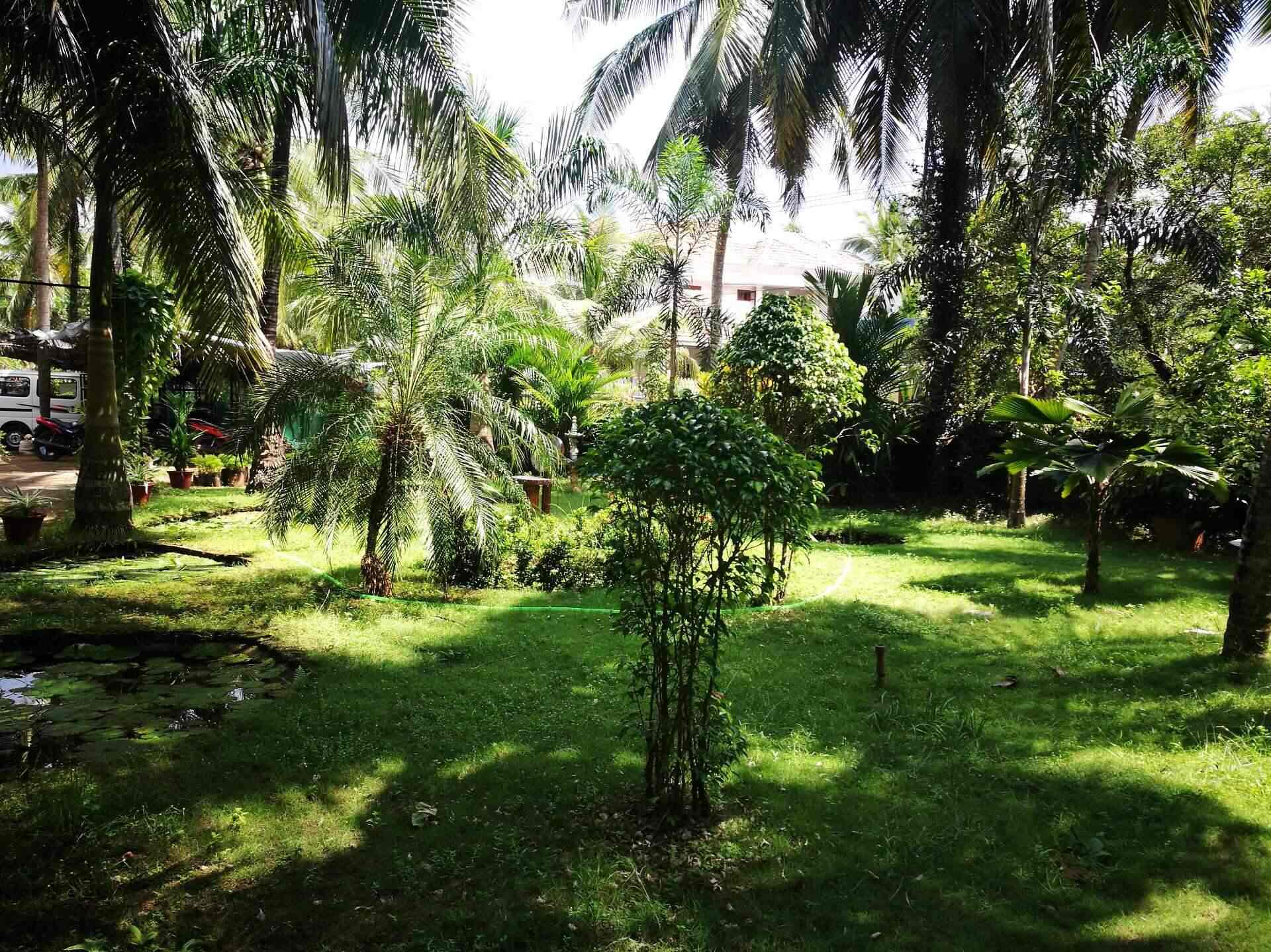 Jenny Flowers International Kanhangad Kerala Best Flower Site