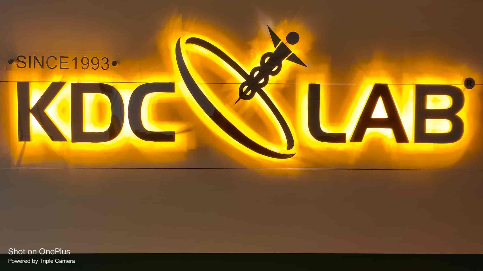 Little Flower Kanhangad School Code Best Flower Site