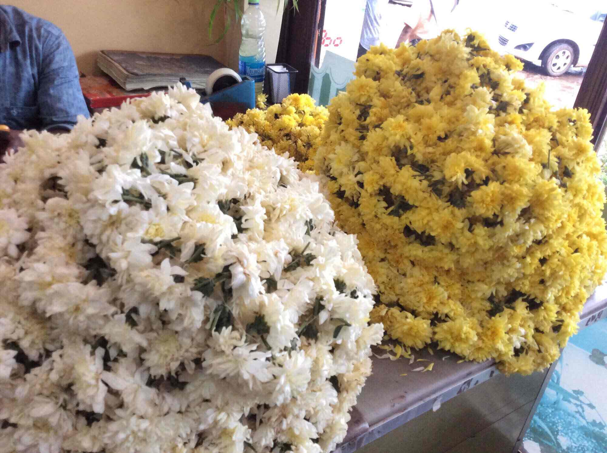 Jenny Flowers Kerala Best Flower Site