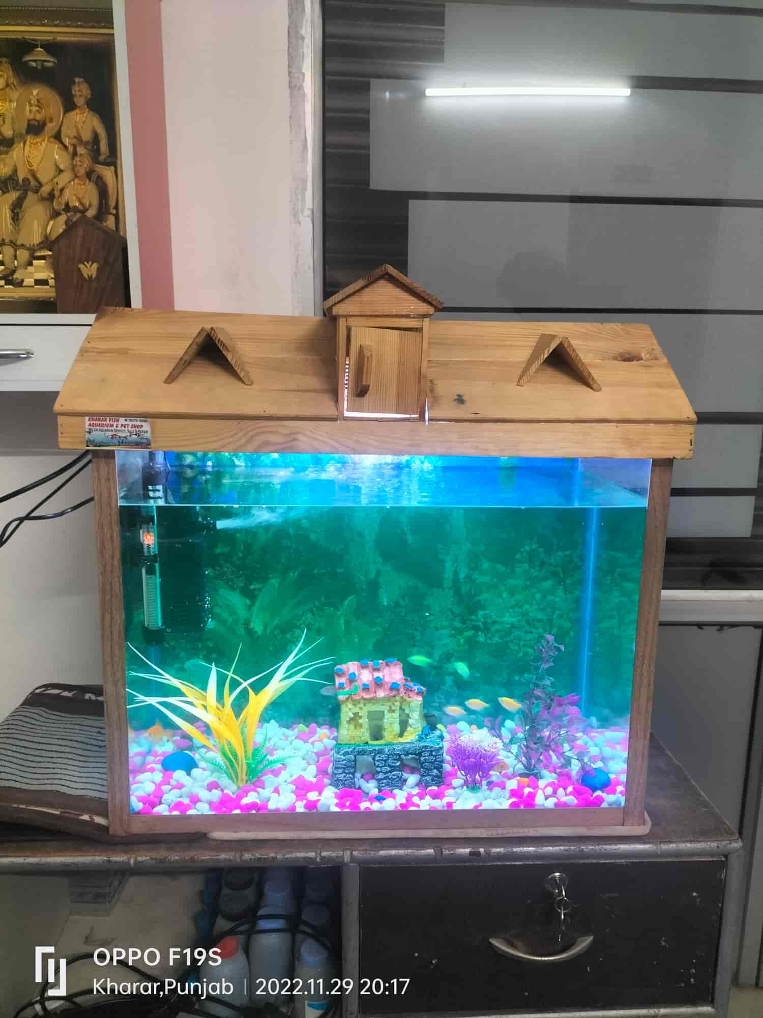 Tank Pets At Home 24 Litre Fish Tank Pet Supermarket Pet Shop Live