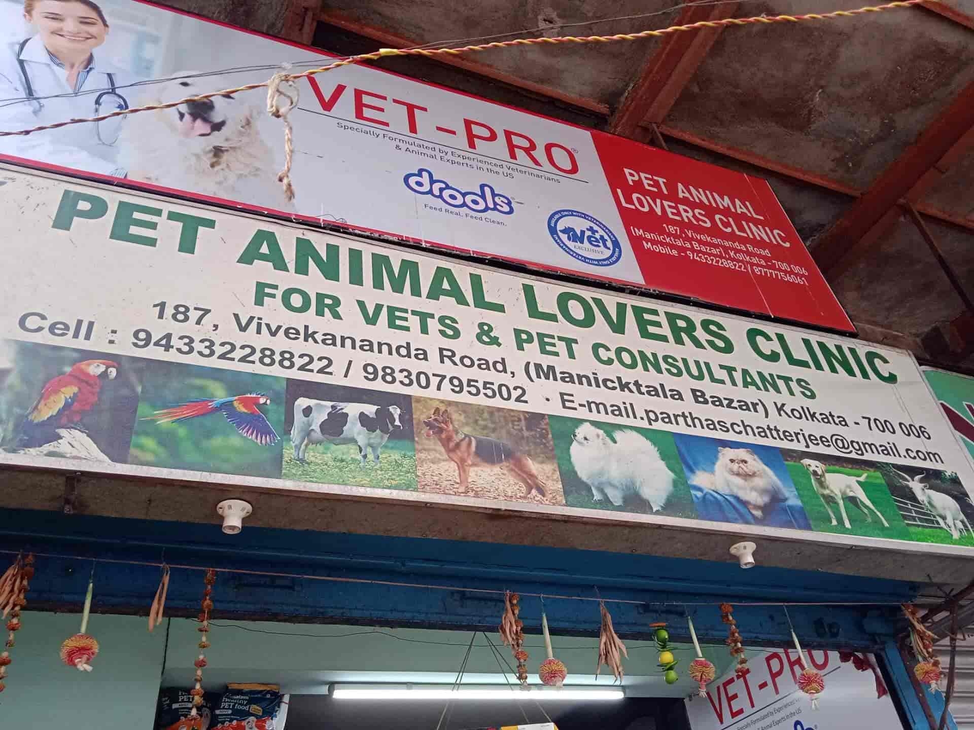 Kolkata Best Pet Doctor Near Me Best Dog Doctor Dogs Medicine - Main Image
