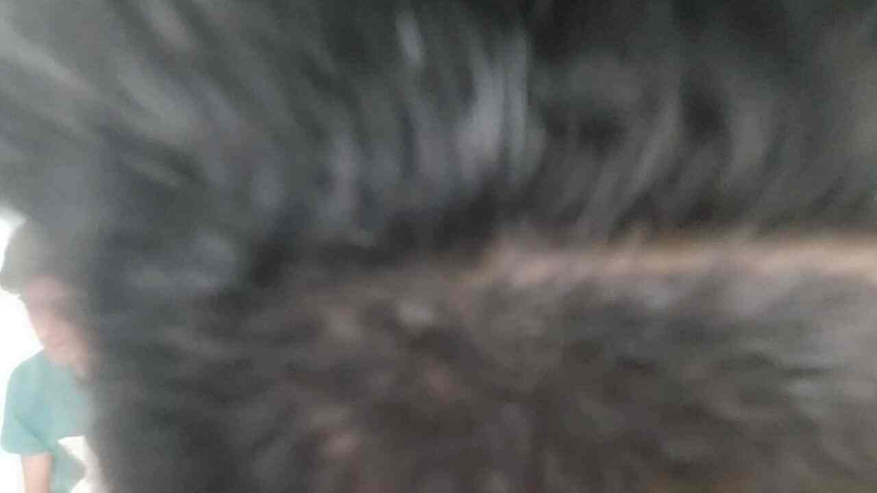 P M Hair X Preso in Boral,Kolkata - Best Beauty Salons For Men near me in  Kolkata - Justdial