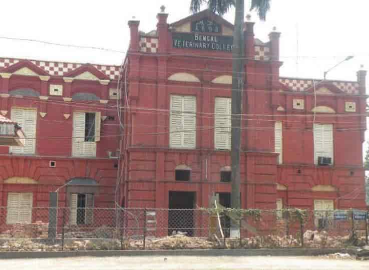 belgachia animal hospital