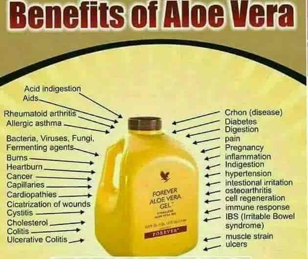 Forever Living Products in Ballygunge,Kolkata - Best Herbal Product Dealers  near me in Kolkata - Justdial
