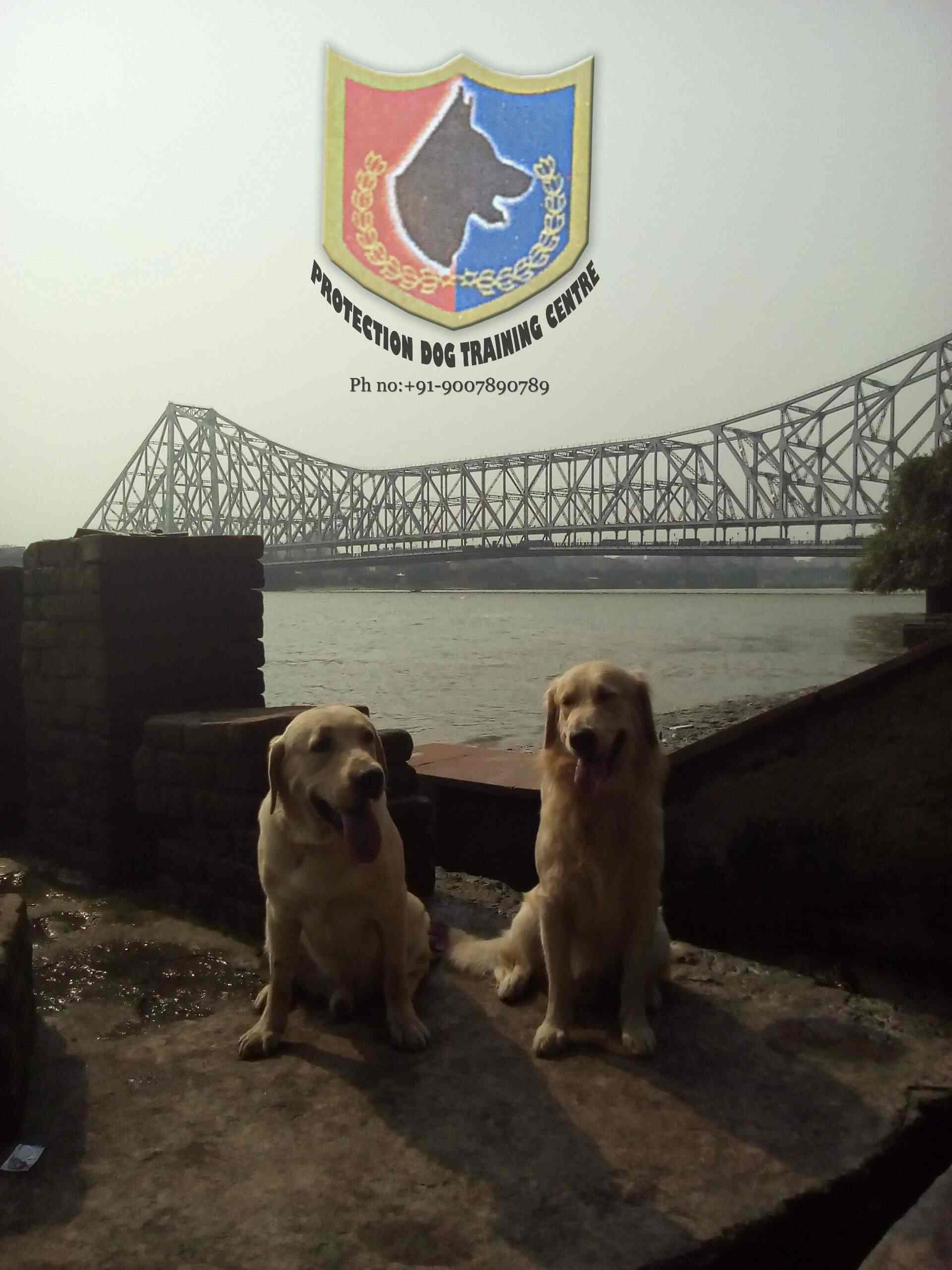 Mukundapur Animal Hospital Online