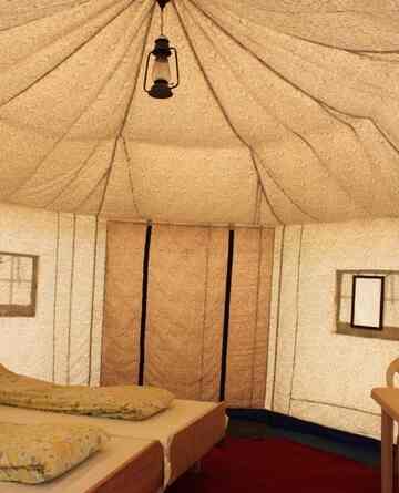 Mystique Meadows Swiss Cottage Camp Nubra Hotels In Leh Ladakh