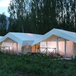 Mystique Meadows Swiss Cottage Camp Nubra Hotels In Leh Ladakh