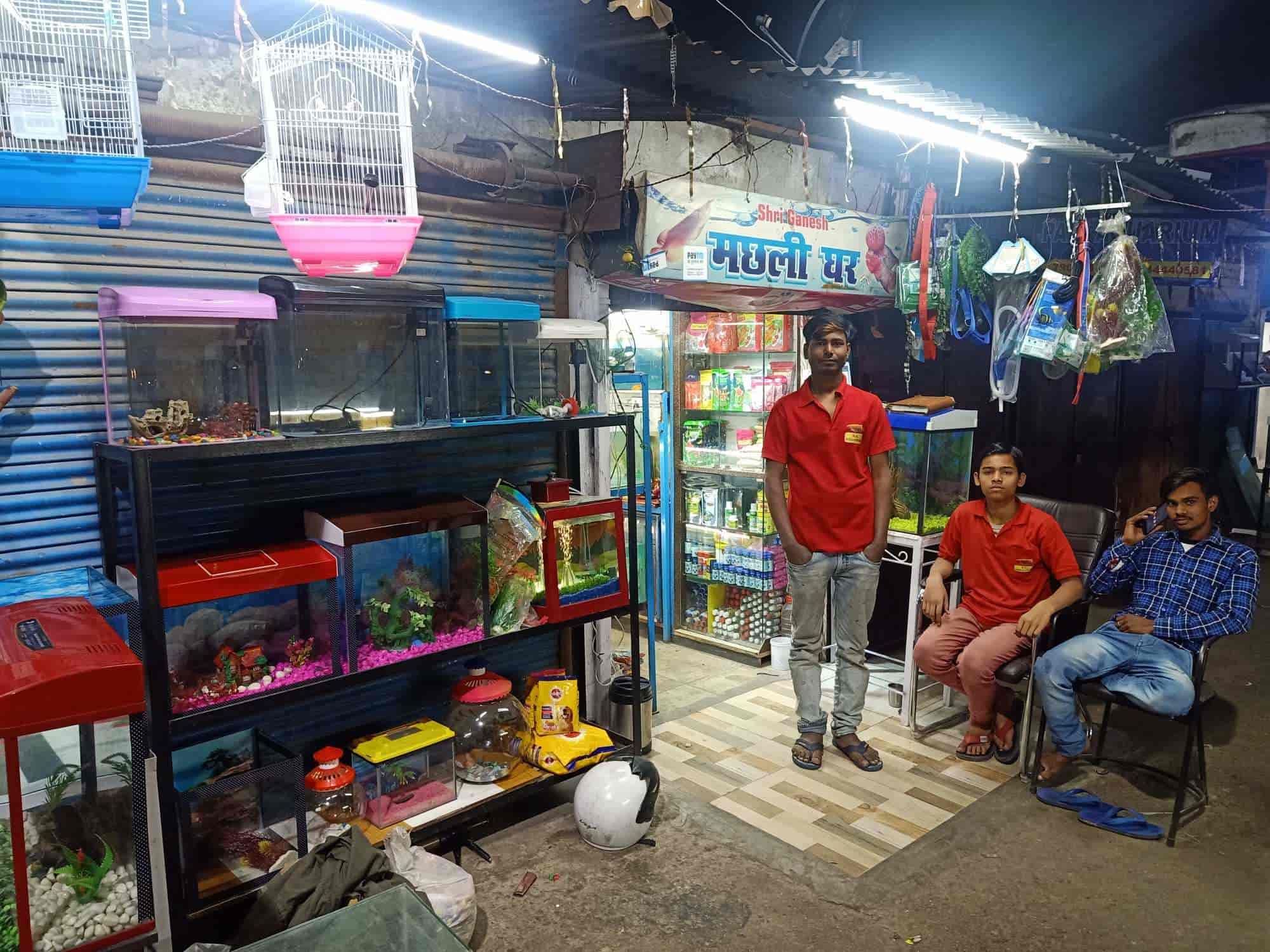 oxgord organic oatmeal dog shampoo