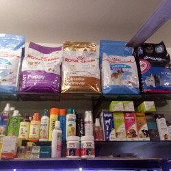 Royal Pet Shop, Gomti Nagar - Pet Shops in Lucknow - Justdial