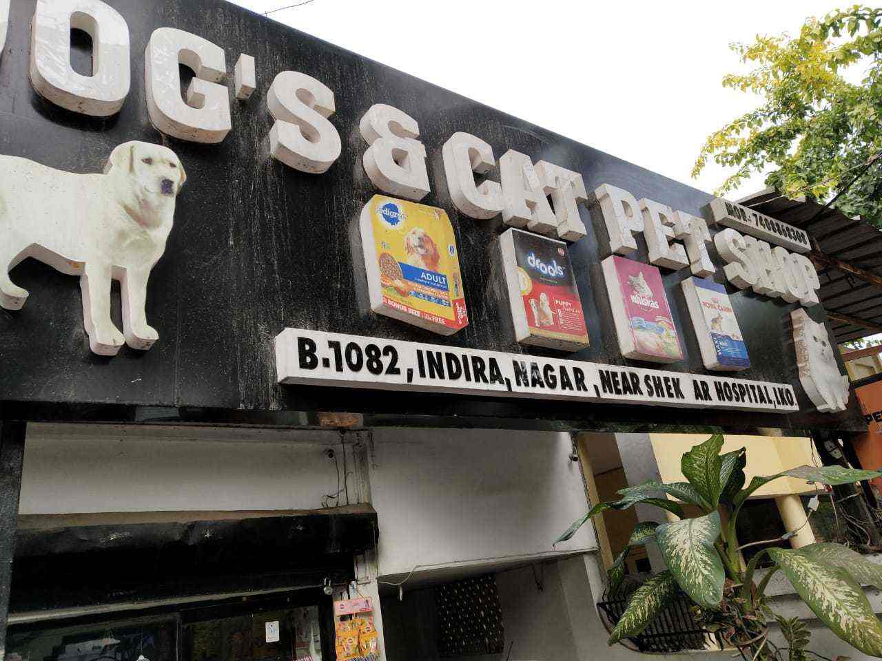 Dogs Cat Pet Shop Lucknow Uttar Pradesh Shop Poin