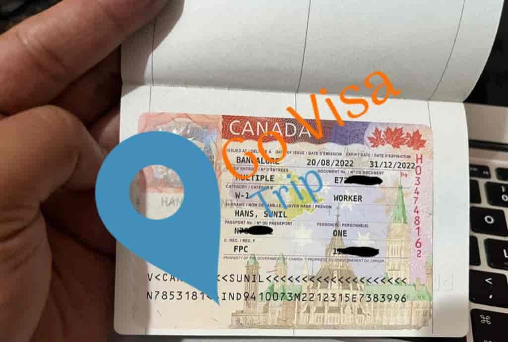 Copycats Fake Id