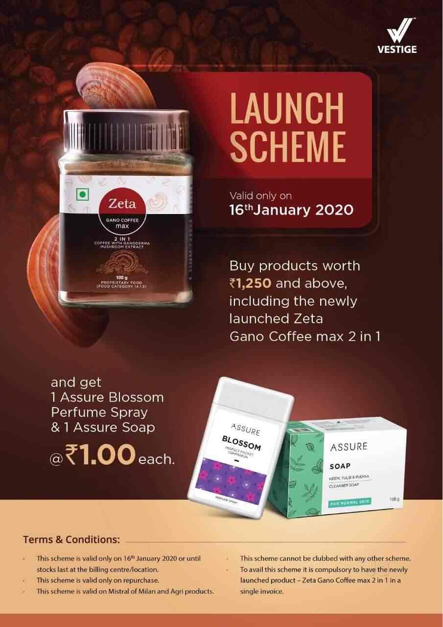 vestige pocket perfume price