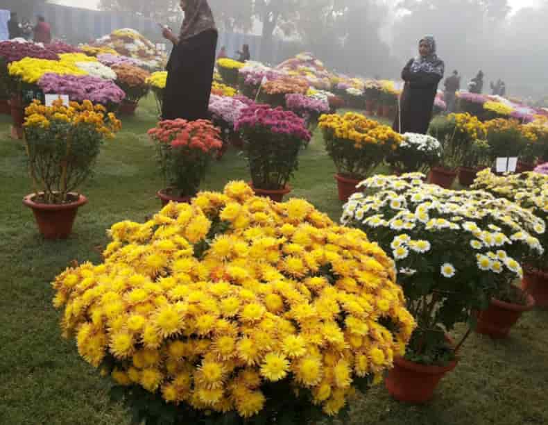 National Botanical Garden in Hazratganj,Lucknow - Best Botanical