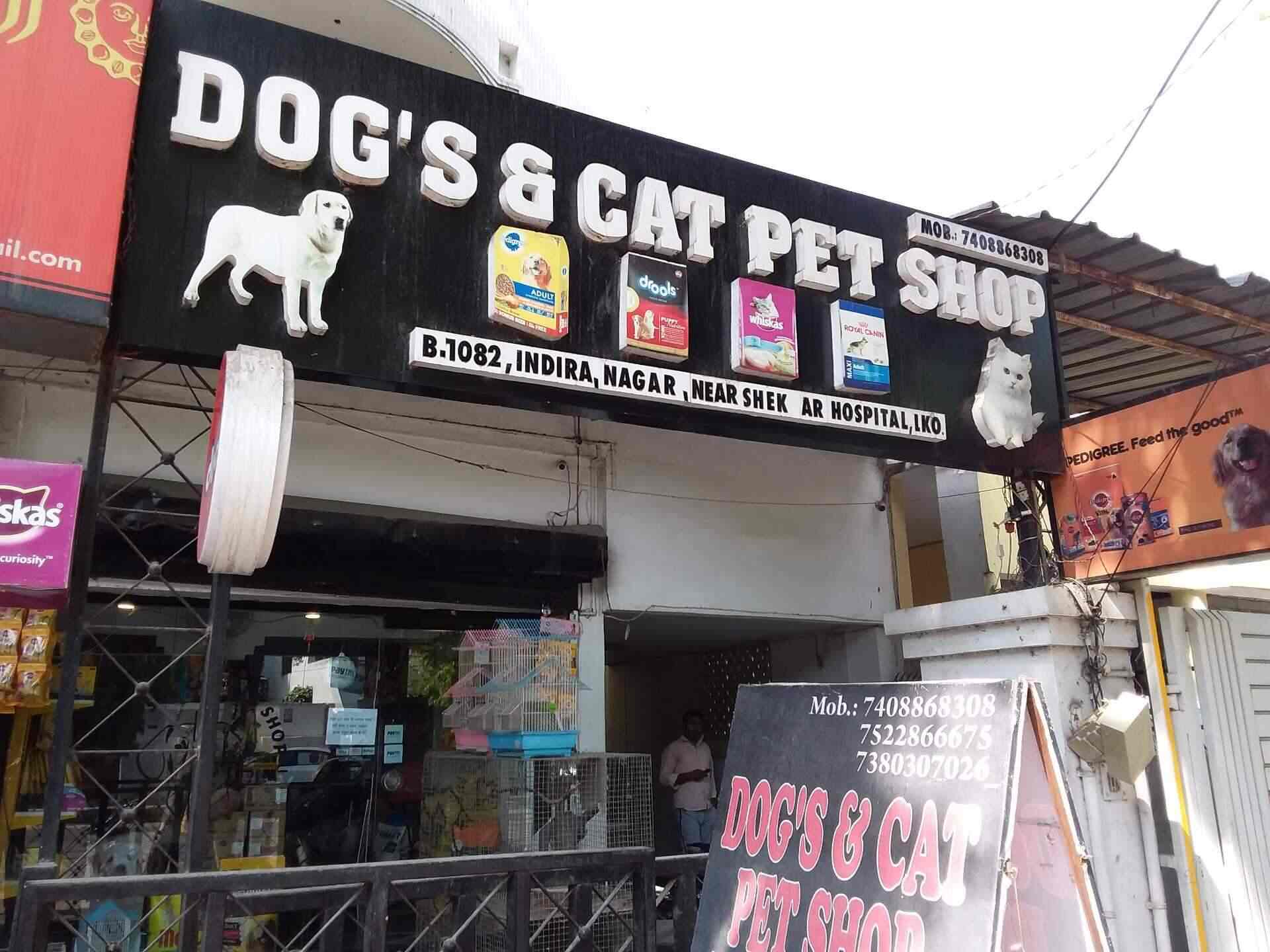 Dogs Cat Pet Shop Indira Nagar Sector B Pet Shops In Lucknow Justdial