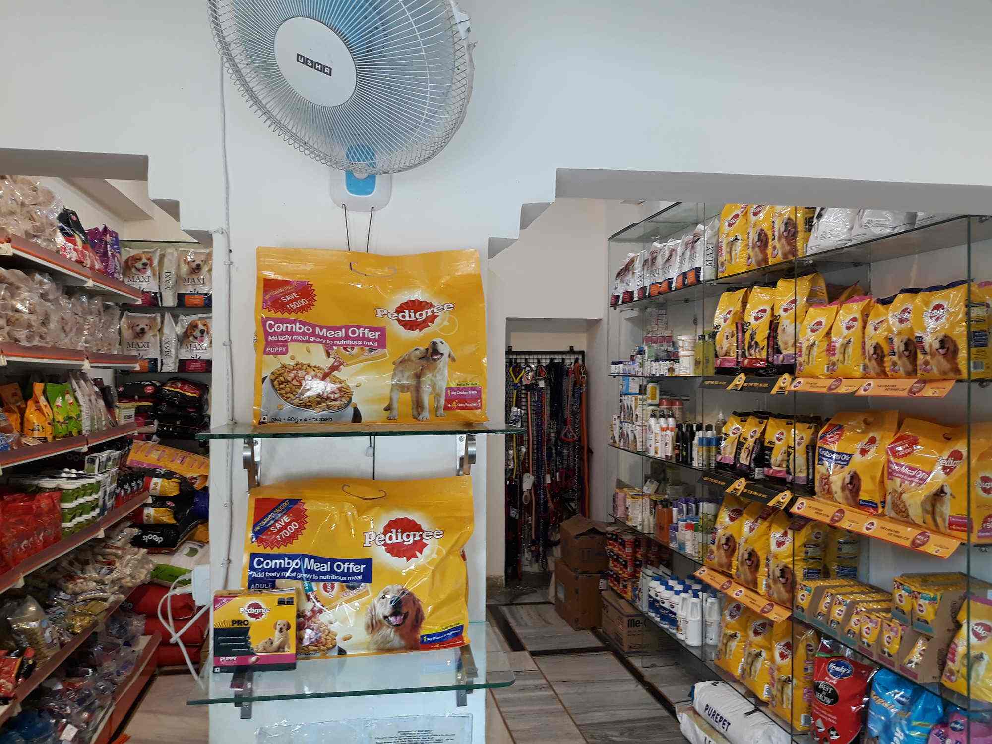 Dogs Cat Pet Shop Lucknow Uttar Pradesh Shop Poin