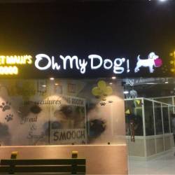 how to stop my dog from pulling while walking