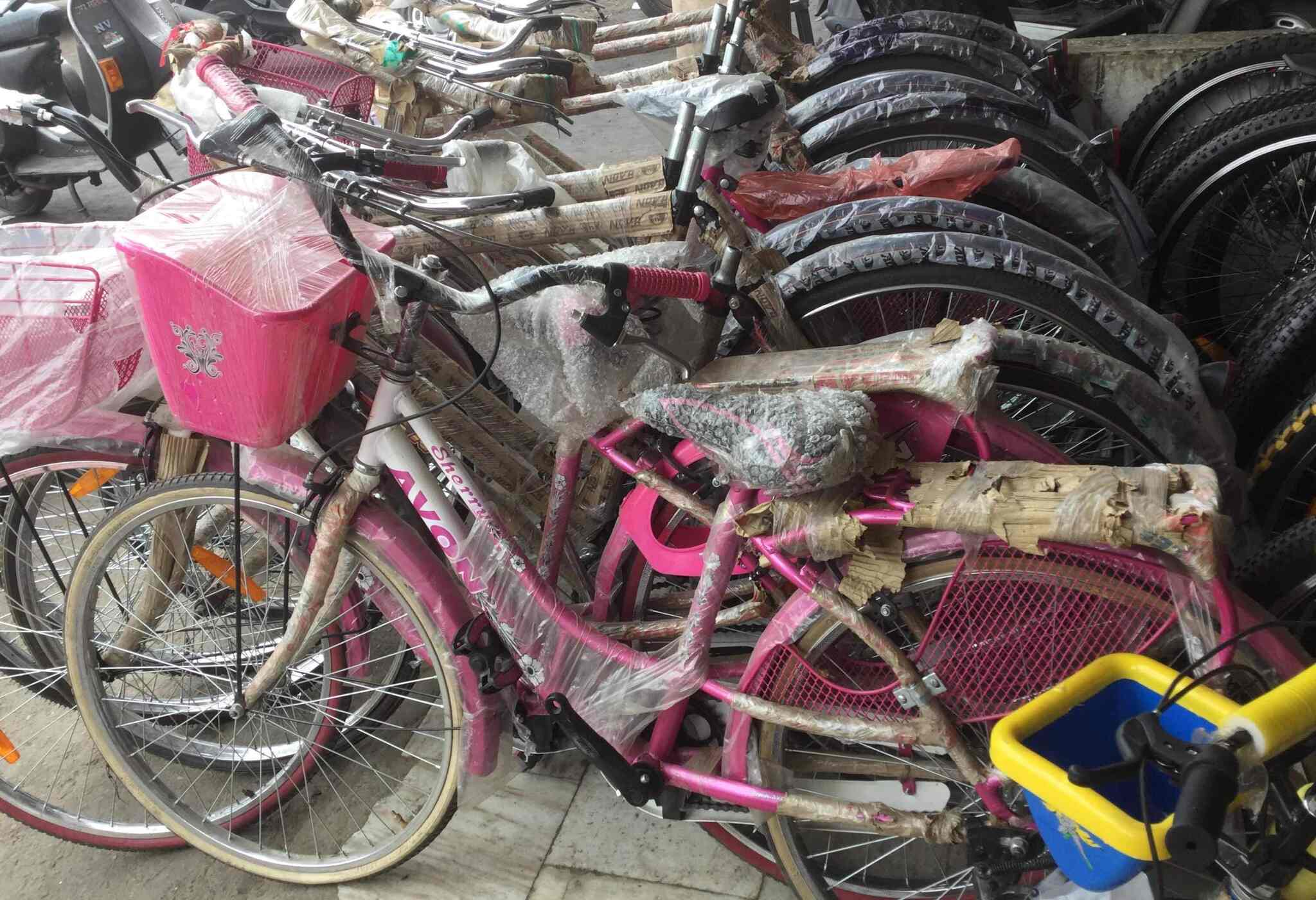 hi bird cycle amazon