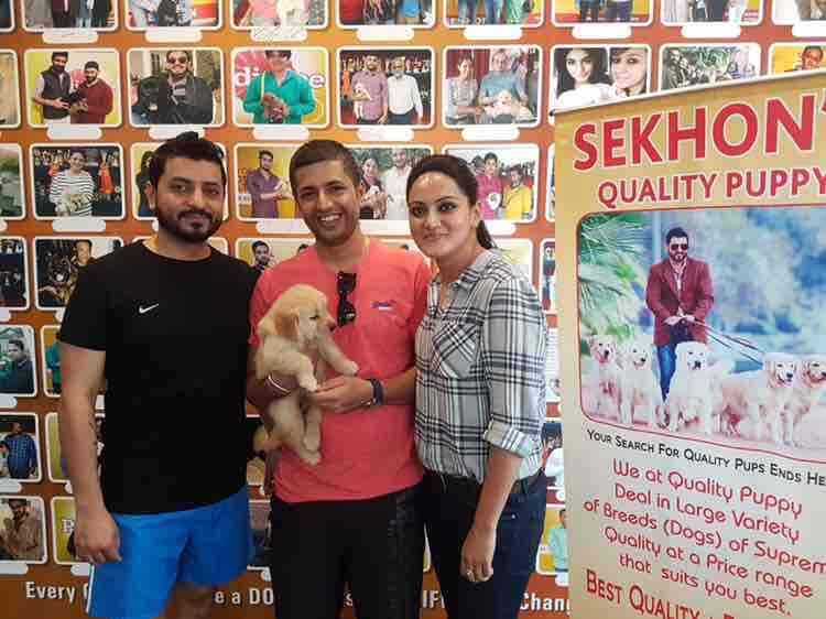 sekhon's quality puppy