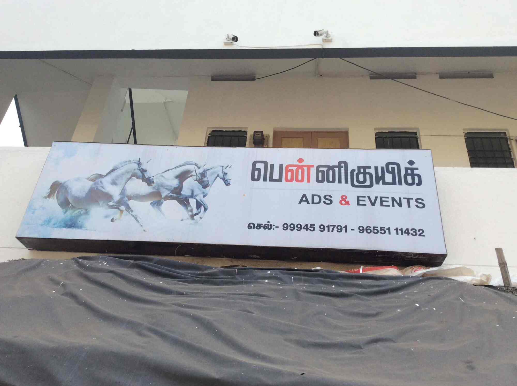 Penny Cuick Associates Ads Eventes Anna Nagar Madurai Flex Printing Services In Madurai Justdial