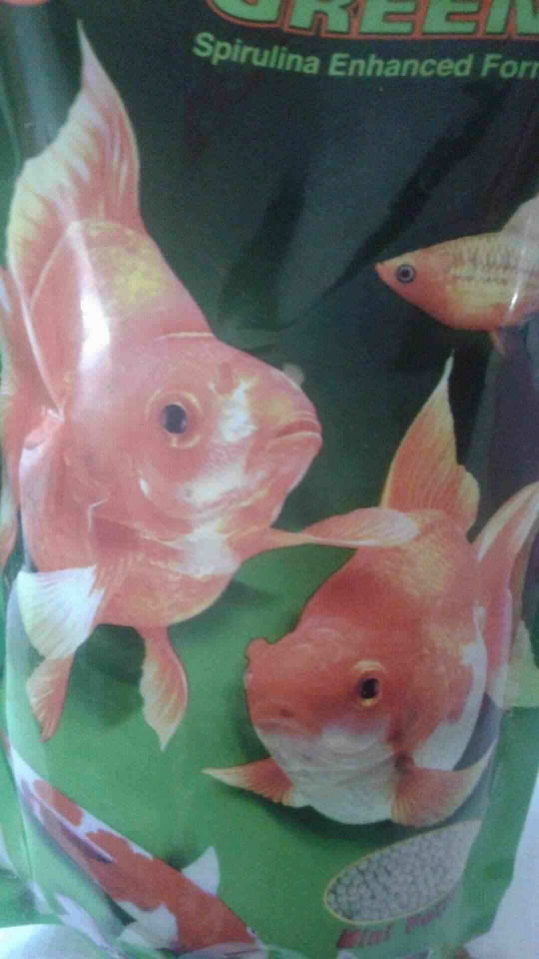 fish tropical near me
