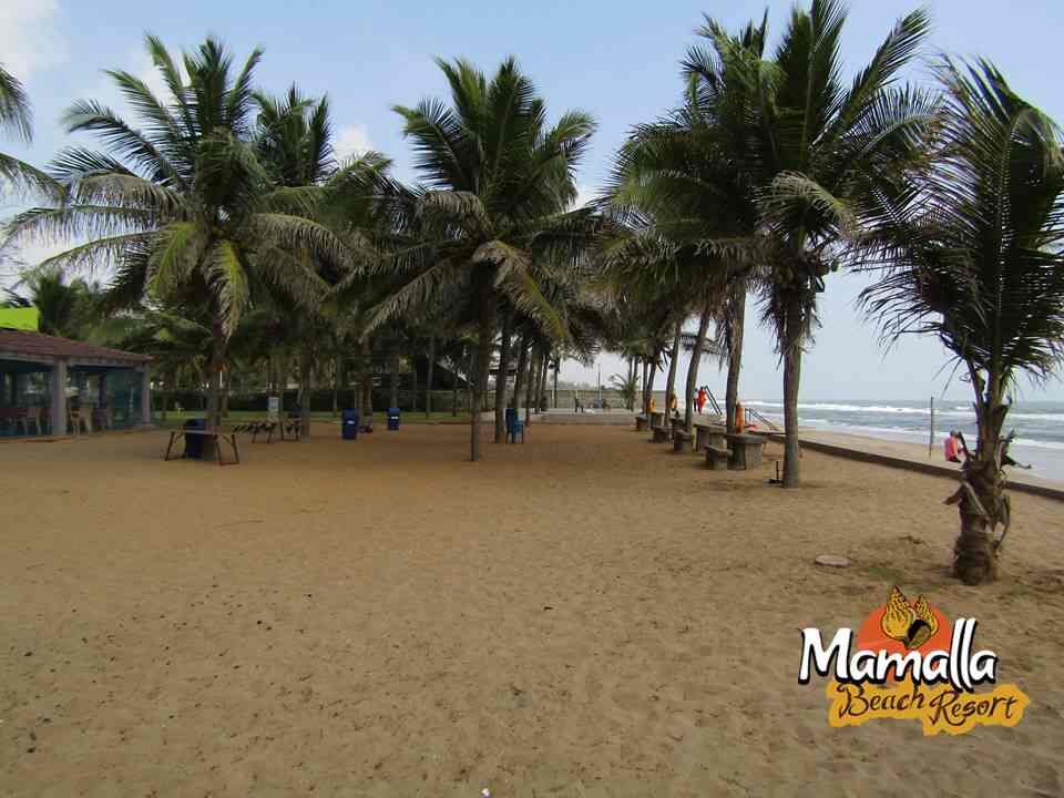 Mamalla Beach Resort Mamallapuram 3 Star Hotels In Mahabalipuram Mamalla Beach Resort Mamallapuram 3 Star Hotels In Mahabalipuram Justdial