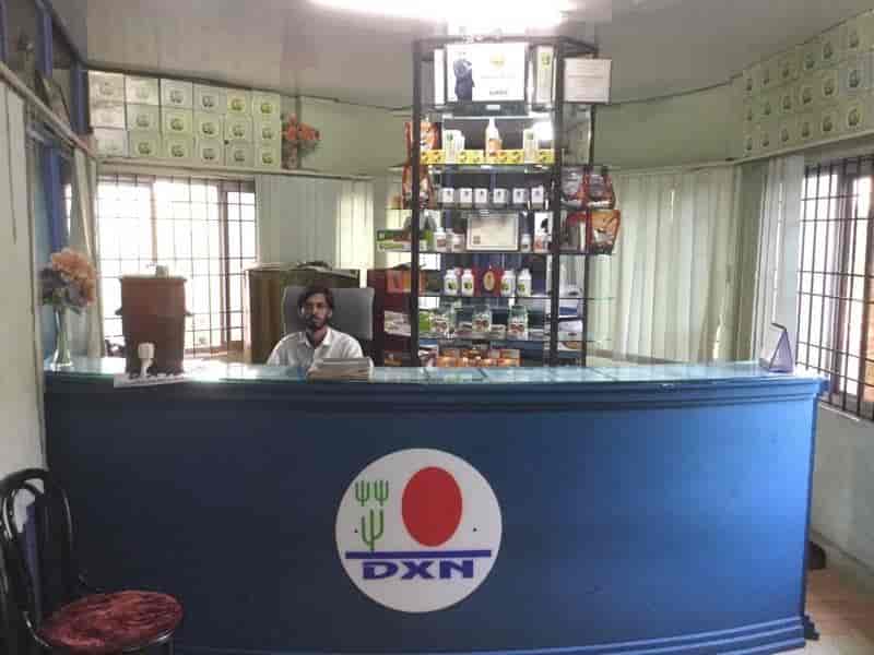 Dxn Alshifa Health Care Ayurvedic Medicine Shops Book Appointment Online Ayurvedic Medicine Shops In Tirur Malappuram Justdial