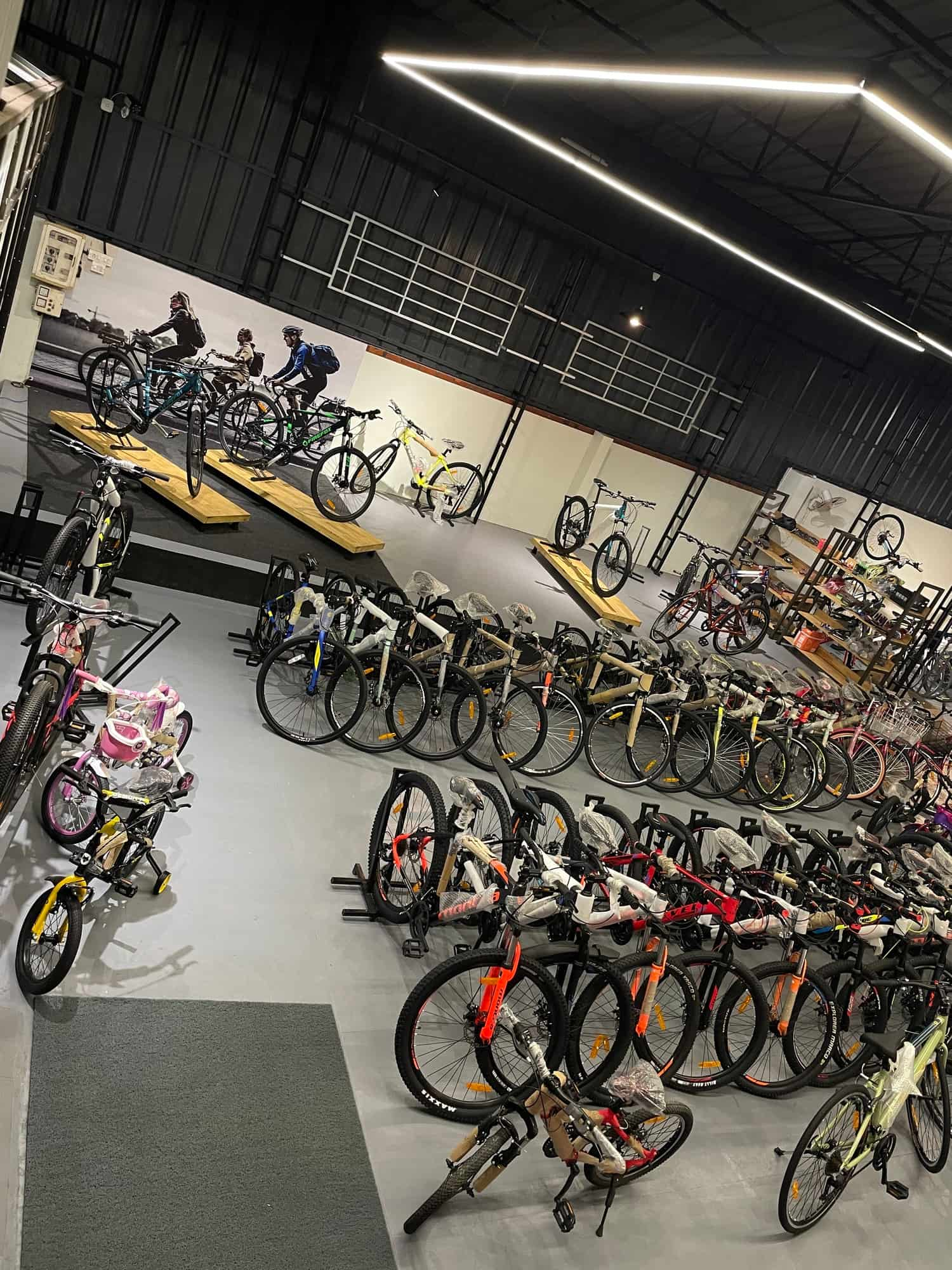 Biggest bicycle shop hot sale