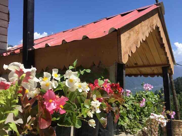 Mother Tree Cottage Photos Manali Pictures Images Gallery