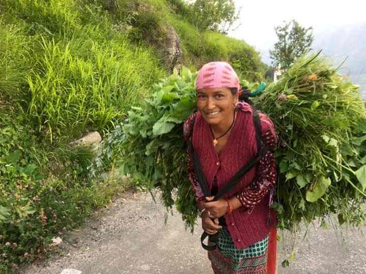 Mother Tree Cottage Photos Manali Pictures Images Gallery