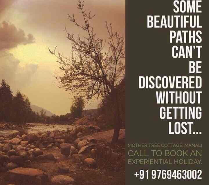 Mother Tree Cottage Photos Manali Pictures Images Gallery