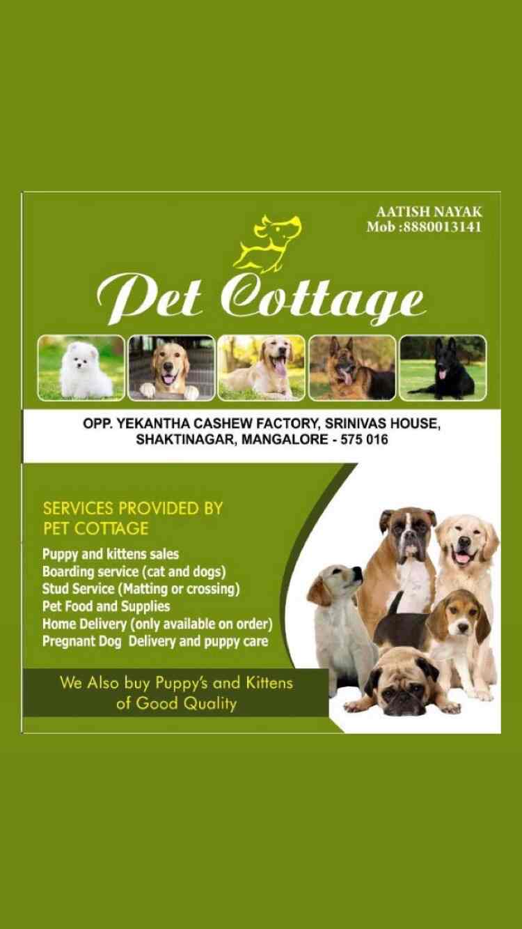 Pet Cottage Kennel Shaktinagar Pet Care Takers In Mangalore