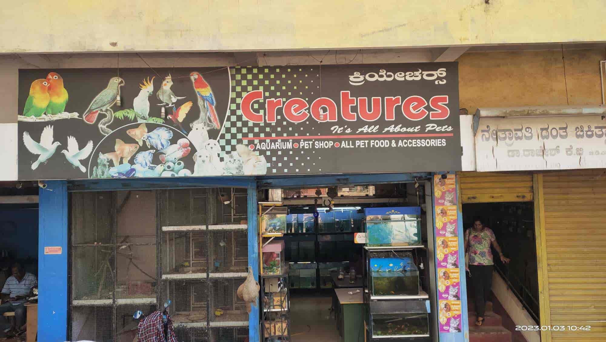 creatures pet shop