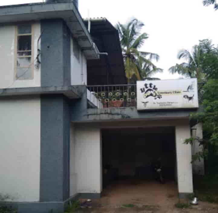 little paws pet clinic