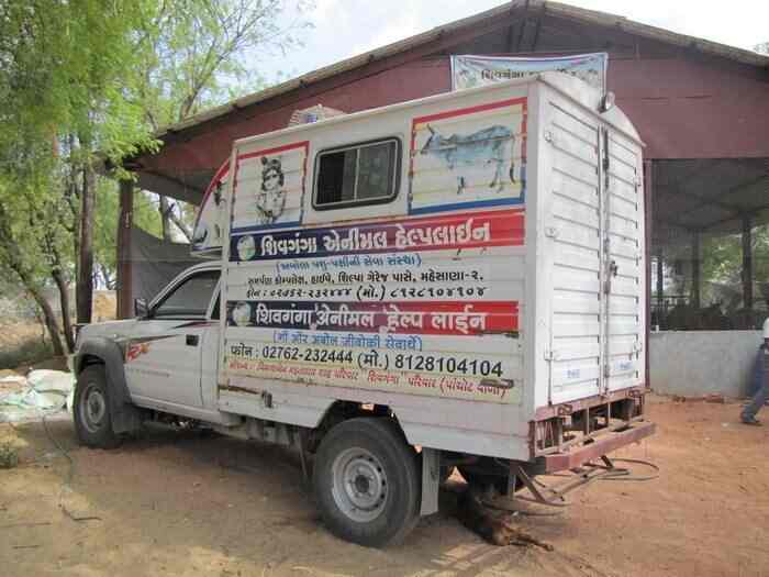 animal emergency number near me