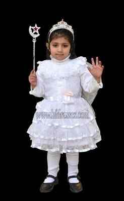 fancy pari frock