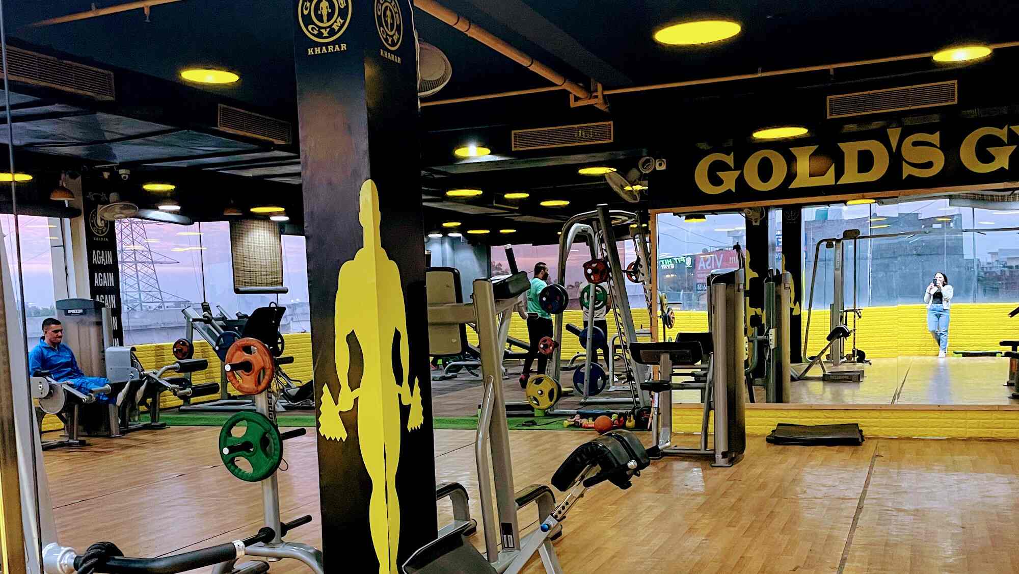 Details more than 133 gold gym interior photo super hot tnbvietnam.edu.vn