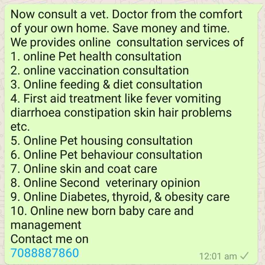 Veterinary Doctor Animal Doctor Online Consultation Veterinary Doctors Book Appointment Online Veterinary Doctors In Ashiyana Colony Moradabad Justdial 247 likes · 1 talking about this.