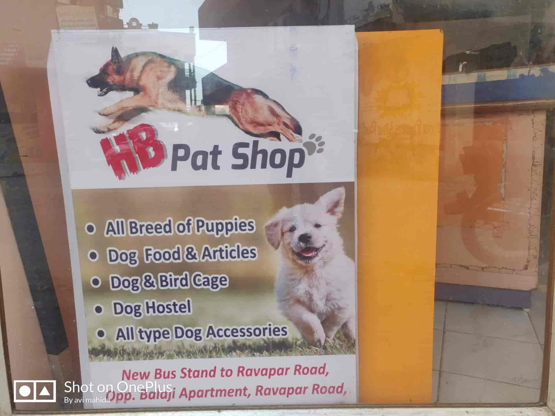 pat dog shop